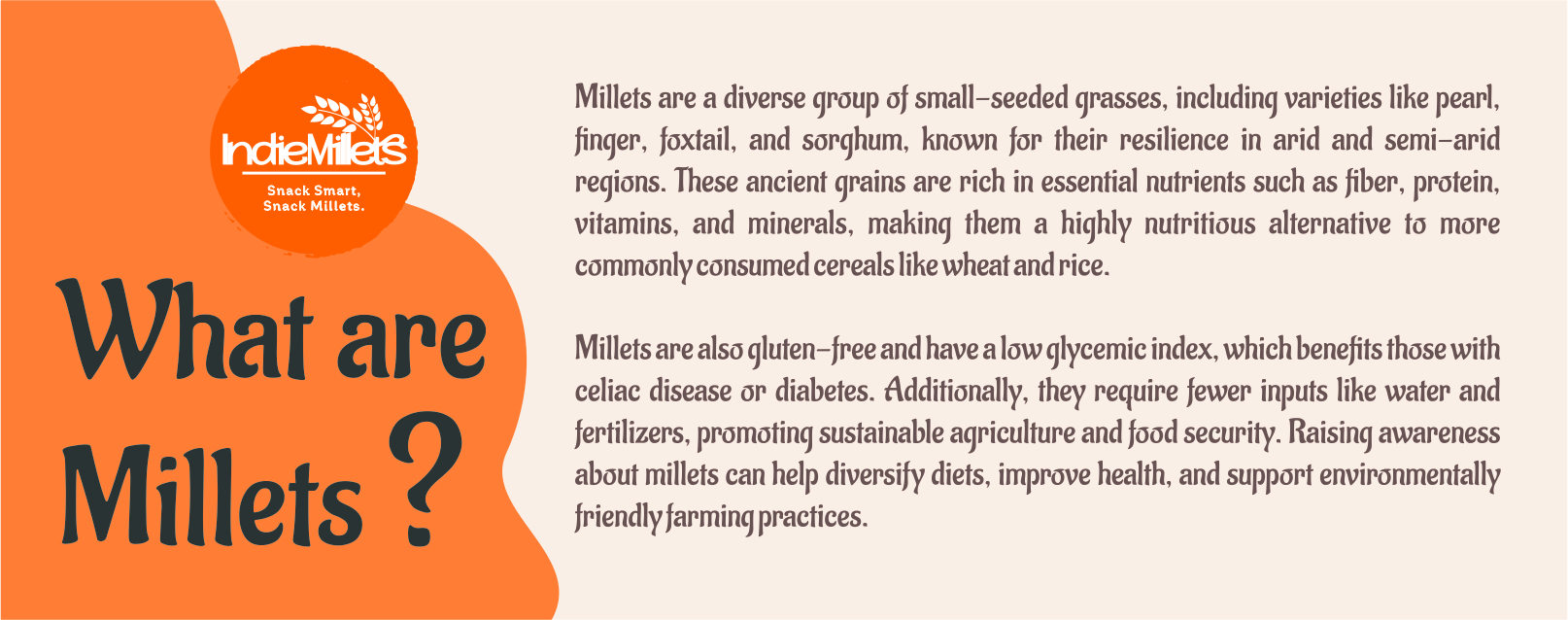 Millet cookies Coconut - Image 2